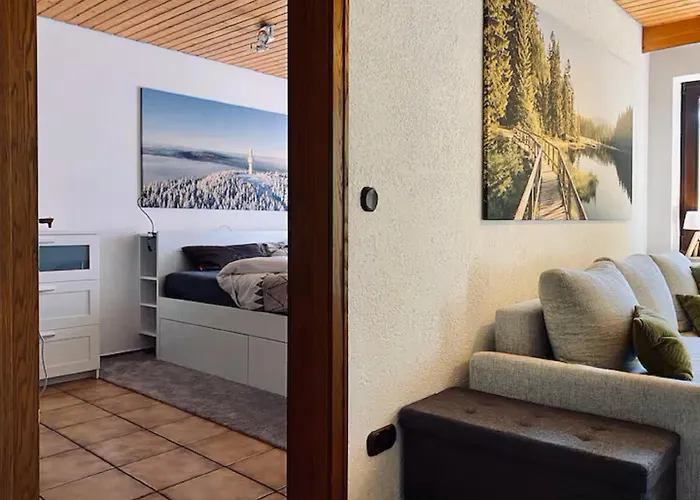 Fichtelraum Dein Raum Im Fichtelgebirge Апартаменты Gefrees