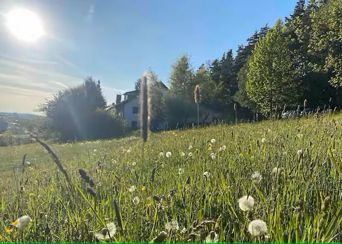 Fichtelraum Dein Raum Im Fichtelgebirge Gefrees