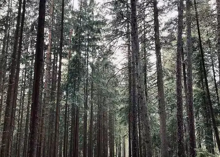 Fichtelraum Dein Raum Im Fichtelgebirge Апартаменты *